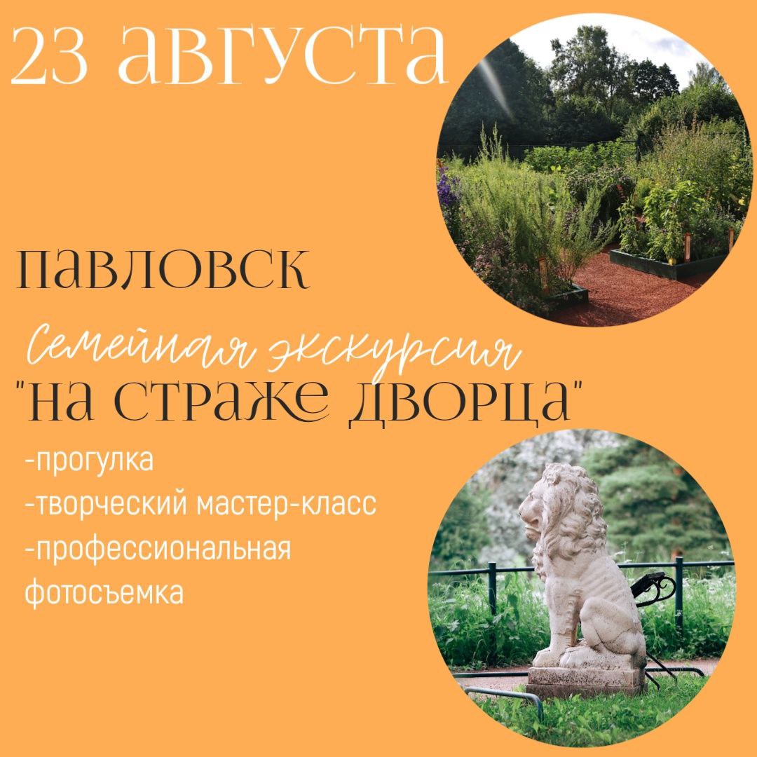 1000299221.jpg (159 KB)